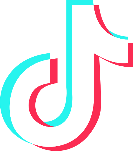 TikTokToxic